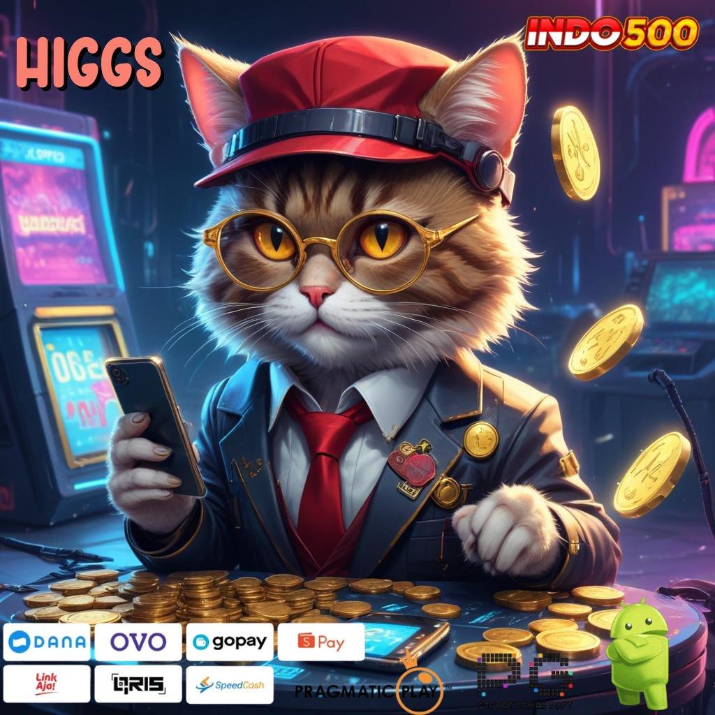 HIGGS kode reward